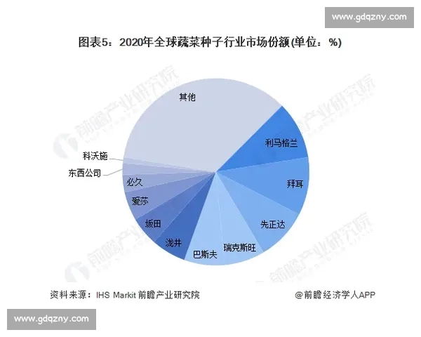 以vs金波为核心解析品牌实力对决与市场竞争新格局发展趋势洞察 以vs金波为核心解析品牌实力对决与市场竞争新格局发展趋势洞察